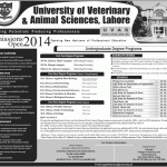University of Veterinary and Animal Sciences (UVAS) Lahore Admission Notice 2014 for Doctor of Veterinary Medicine (DVM), Doctor of Pharmacy (Pharm-D)
