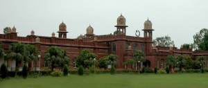 University of Agriculture Faisalabad (UAF) Faisalabad