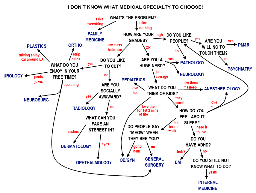 The World’s Most Sophisticated Algorithm for Choosing a Med Speciality
