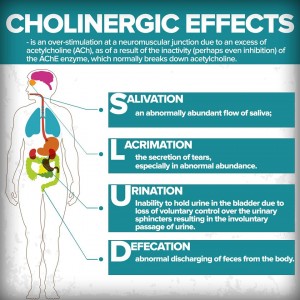 Infographics: Cholinergic Effects