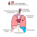Nursing Mnemonics: 6 P's of Dyspnea