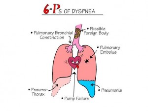 Nursing Mnemonics: 6 P's of Dyspnea