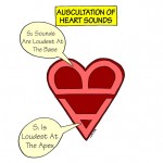 Nursing Mnemonics and Tips: Auscultations of Heart Sounds