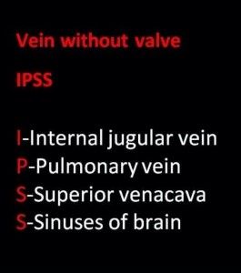 Veins without valves