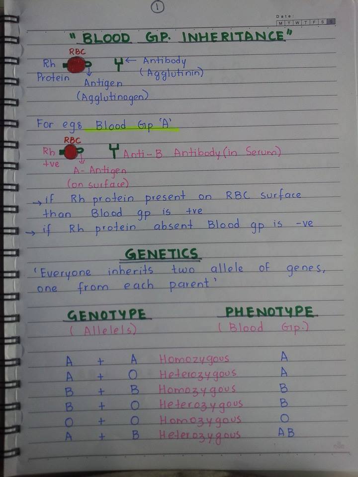 Nursing Notes: Blood Groups & Rh Compatibility Page 1