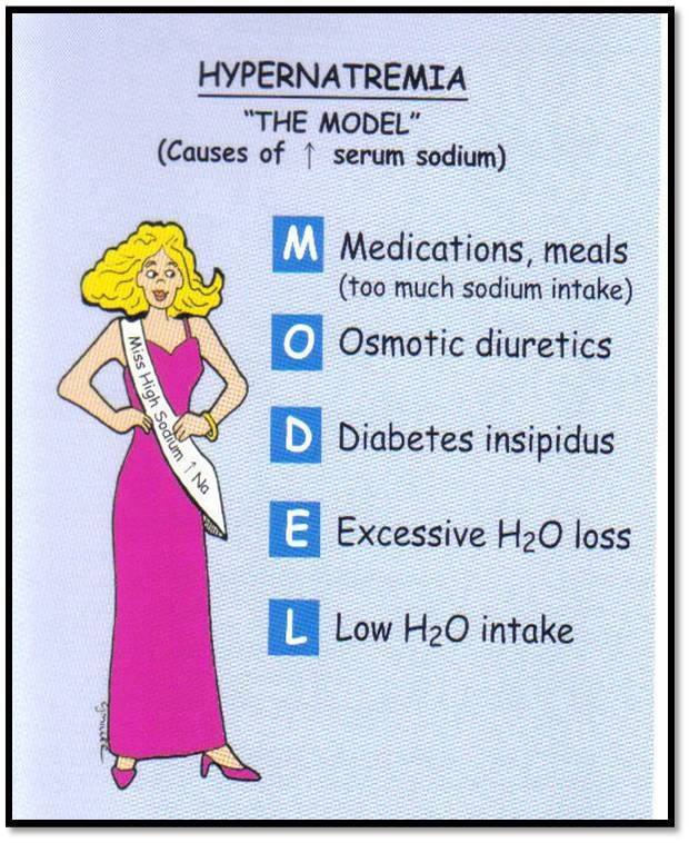 Nursing Mnemonics: Hypernatremia "The MODEL"