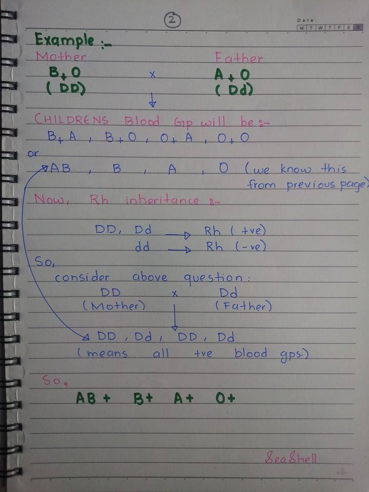 Nursing Notes: Blood Groups & Rh Compatibility Page 2