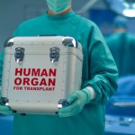 The first successfully transplanted penis works: Patient’s girlfriend is pregnant