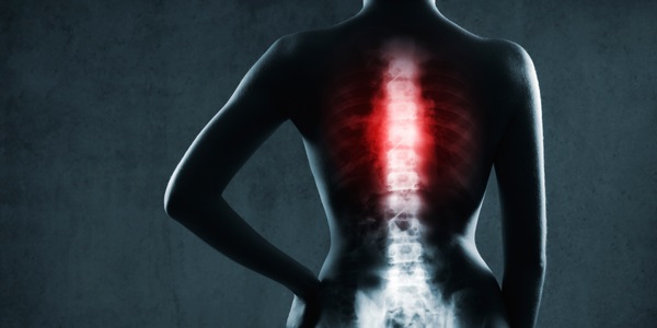 dauntless conductive shock spine