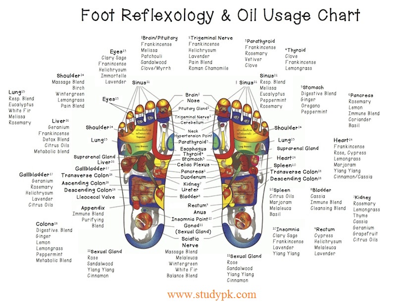 Foot Reflexology Chart and Oil Use