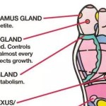 How Massaging These 6 Powerful Spots on Your Feet Can Change Your Life