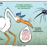 Zika Virus Infection