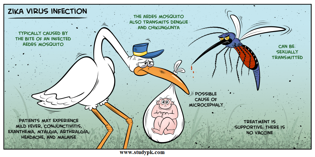 Zika Virus Infection