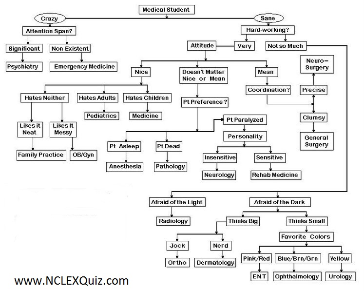 An algorithm to choose a medical specialty on the basis of your personality characteristics