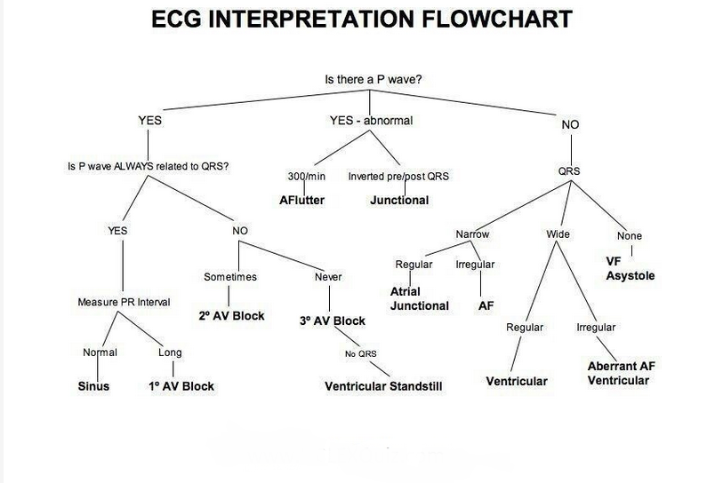 ekg