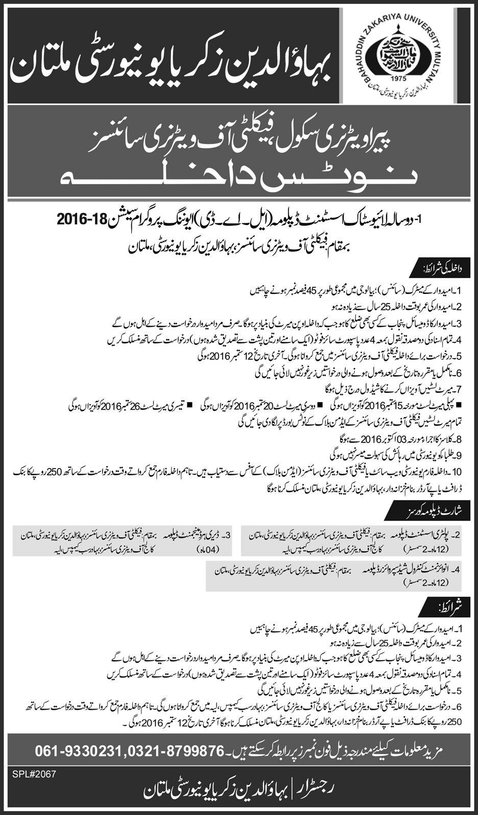 BZU Multan Admission Open Two Years Livestock Assistant Diploma