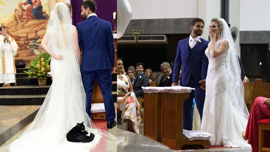 A Wedding Crasher Black Cat Invades The Church And Lies Down On The Bride’s Dress