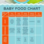 Baby food chart for introducing solids to your baby. CLICK FOR PRINTABLE | baby food | baby food guideline | solids |