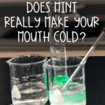 Does Mint Really Make Your Mouth Cold?
