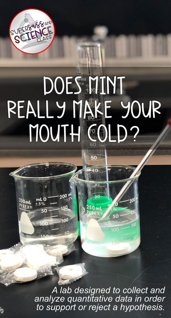 Does Mint Really Make Your Mouth Cold?