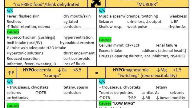 Electrolyte Lab Chart