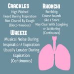 Nursing Mnemonics Lung Sounds – Wheezing, Crackling, Ronchi, and More