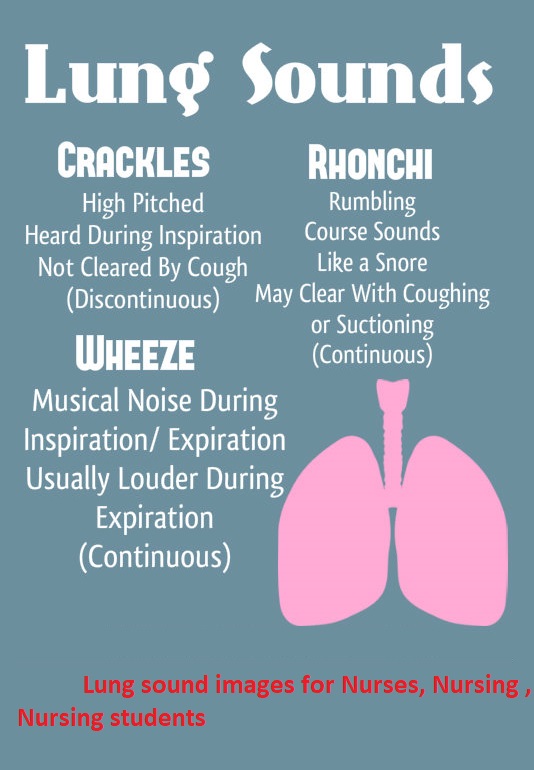 Nursing Mnemonics Lung Sounds – Wheezing, Crackling, Ronchi, and More