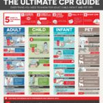 The Ultimate CPR Cheat Sheet/Guide For Adult Child Infant & Pet