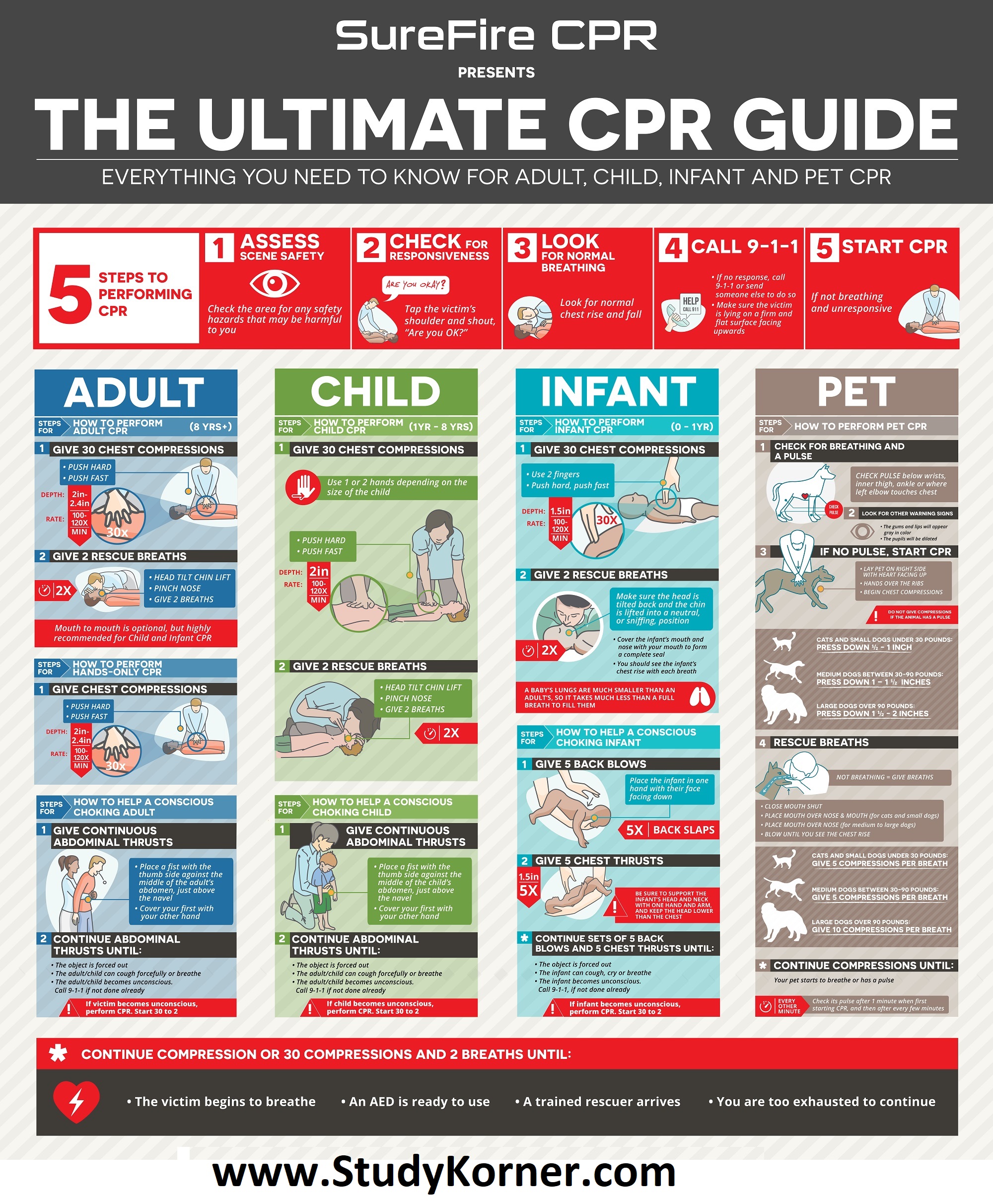 The Ultimate CPR Cheat Sheet/Guide For Adult Child Infant & Pet