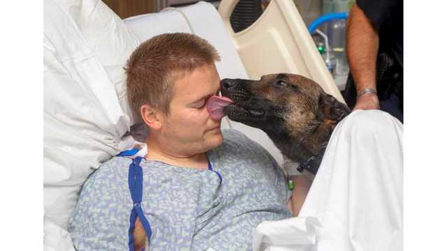 Injured police officer visited by K9 partner who was with him during shooting
