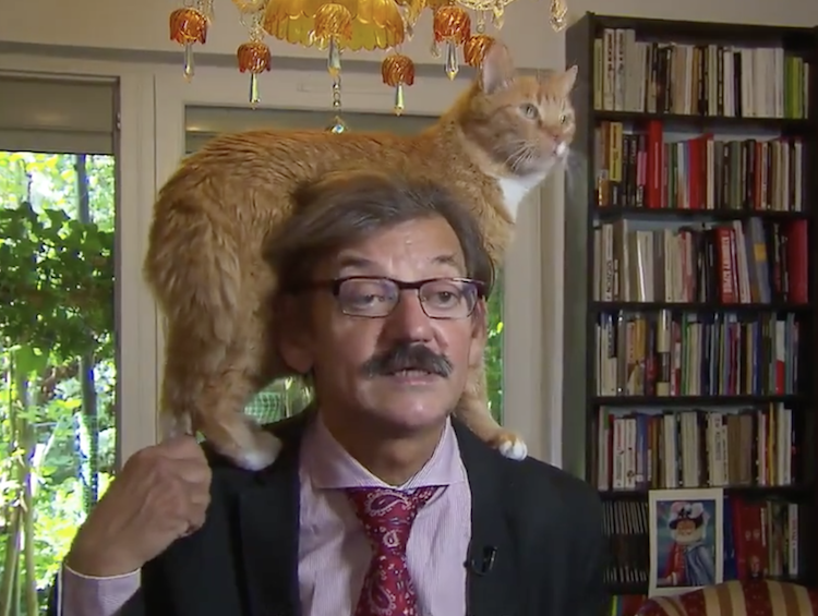 Polish Historian Calmly Conducts a TV Interview While an Orange Cat Climbs on His Shoulders