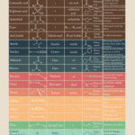 Organic Chemistry Functional Groups Chart