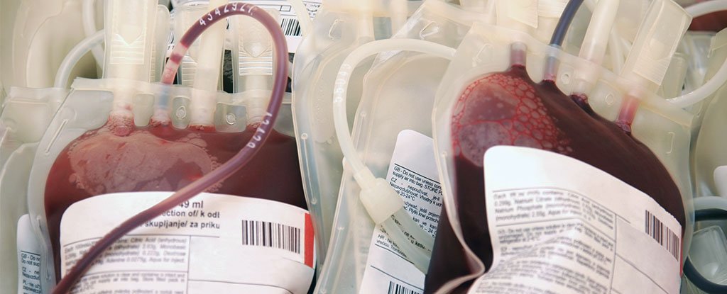 Researchers Found a Way to Convert Donor Blood Into a Universal Type