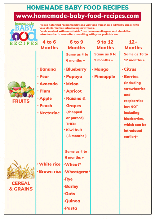 Homemade Baby Foods Stage 1 Recipes