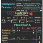 NCLEX Pharmacology Vasopressors and Inotropes Cheat Sheet