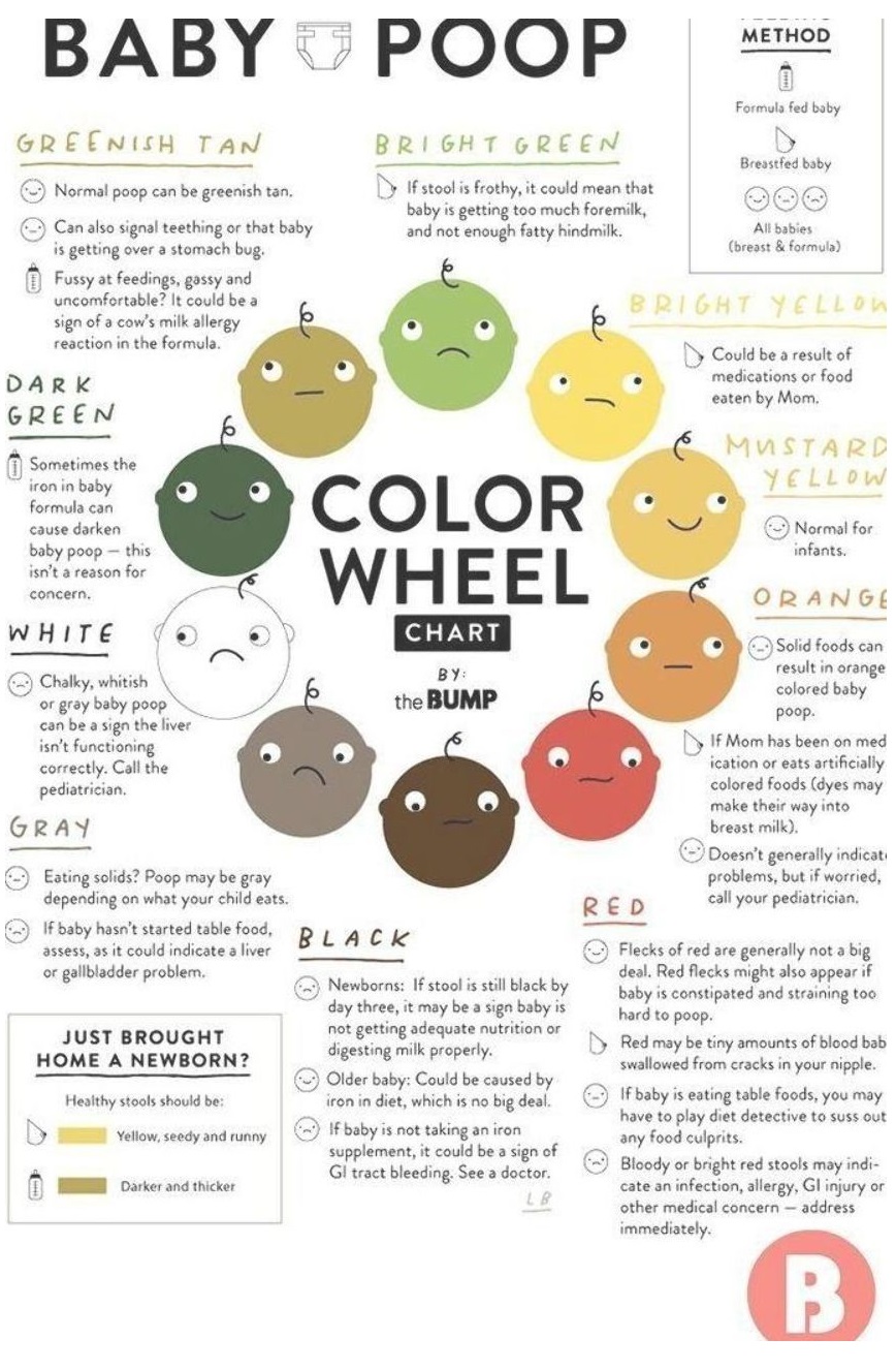 Newborn Poop Colors - Baby Poop Color & Texture Visuals