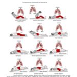 Cardiopulmonary Assessment & Intervention: Patient Positions for Postural Drainage