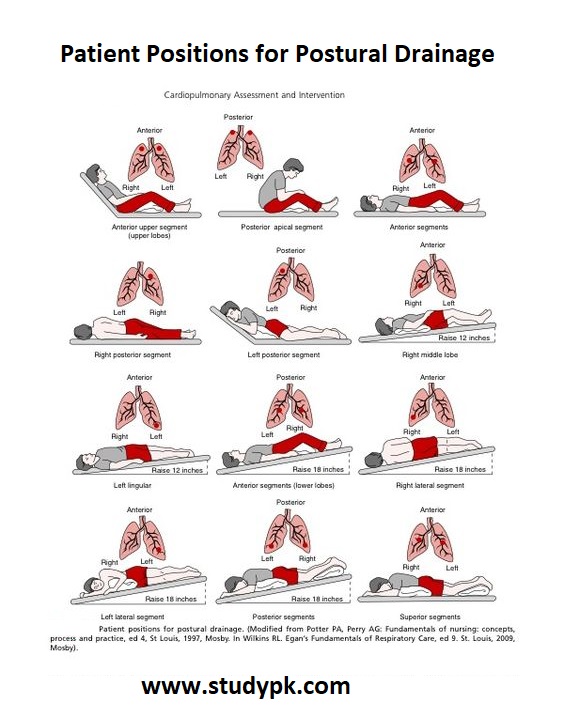 Cardiopulmonary Assessment & Intervention: Patient Positions for Postural Drainage