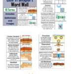 Active Transport and Passive Transport Across A Cell Membrane