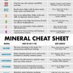 A to K Ultimate Vitamin Cheat Sheet