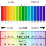 Arterial Blood Gas (ABG) Interpretation Made Easy Chart