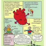 Nursing Left Sided Heart Failure