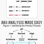 ABG Nursing Cheat Sheet Tic Tac Toe