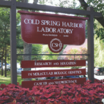 Cold Spring Harbor Laboratory 2023 Applications Open No GRE