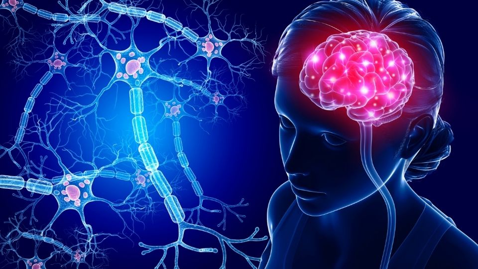 NCLEX Practice Questions: Quiz 1003
