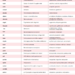 A cheat sheet with a list of common medication prefixes and suffixes, including pharmacologic suffixes and medication prefixes/suffixes for the NCLEX exam, as well as a list of generic drug name stems