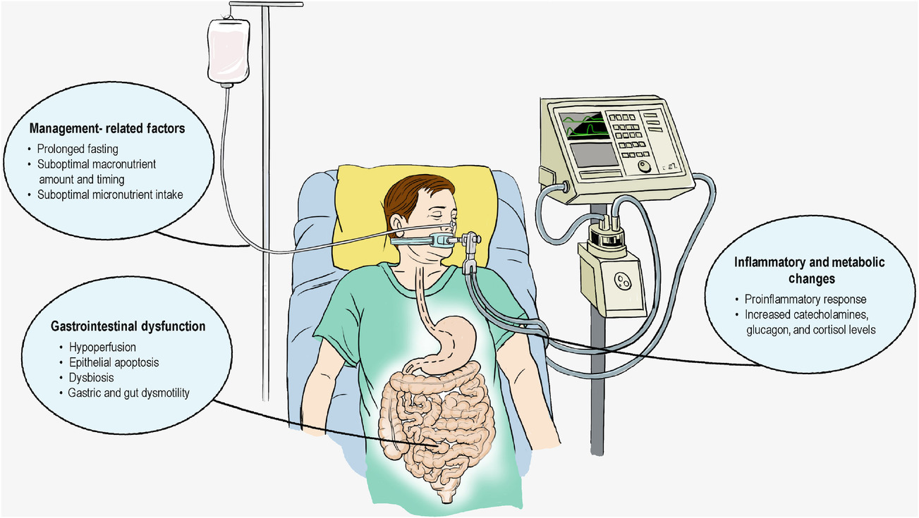 Nutritional Care in Acute and Chronic Illness
