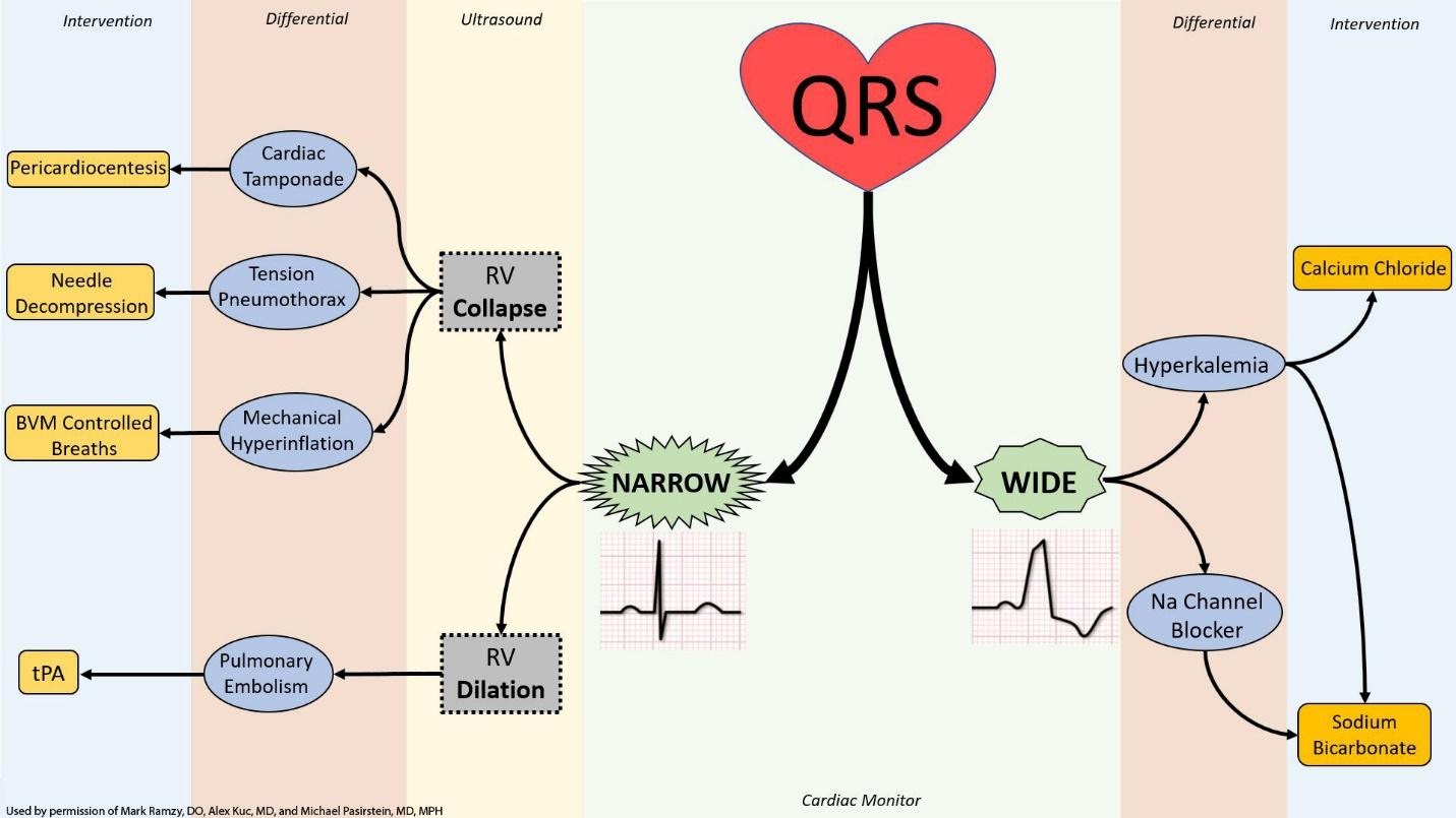 Critical Decision-making in Cardiac Emergencies