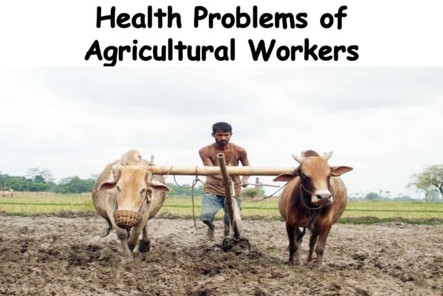 Occupational Hazards in Farm Workers