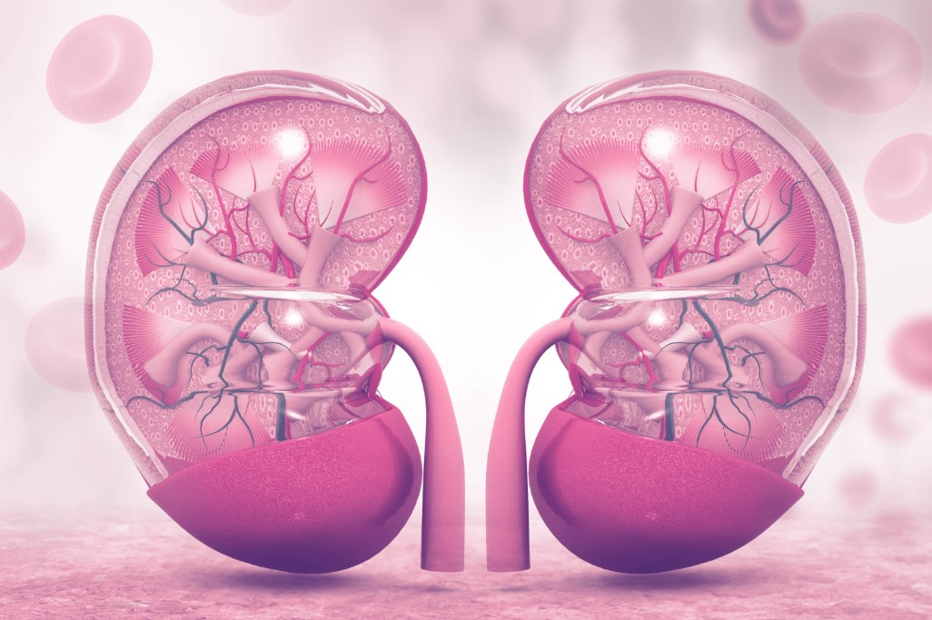 NCLEX Practice Exam: Erythropoietin for Chronic Kidney Disease